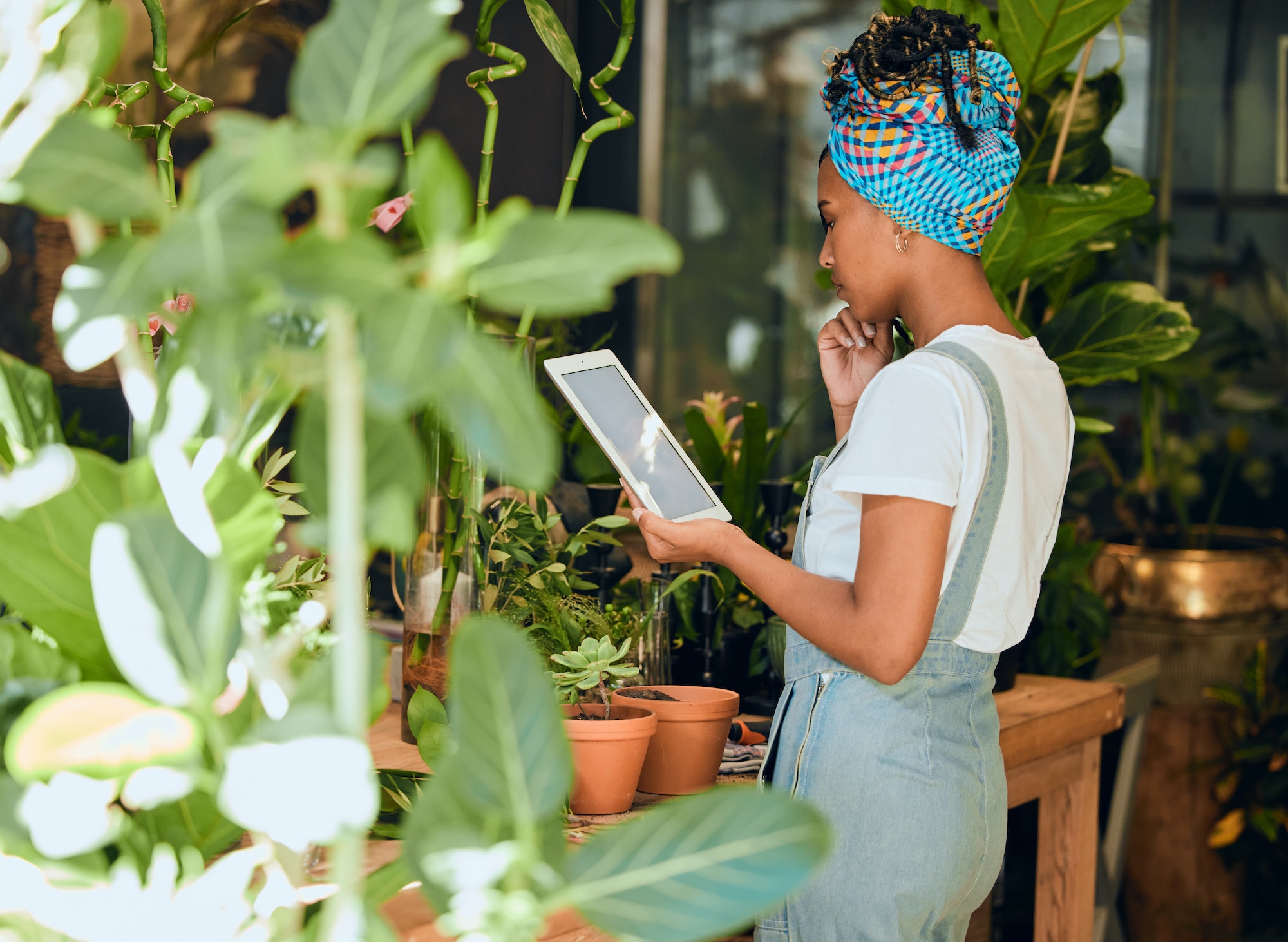 Understanding the Product Lifecycle – Start Here!
